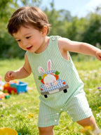 Baby Boy Embroidered Romper