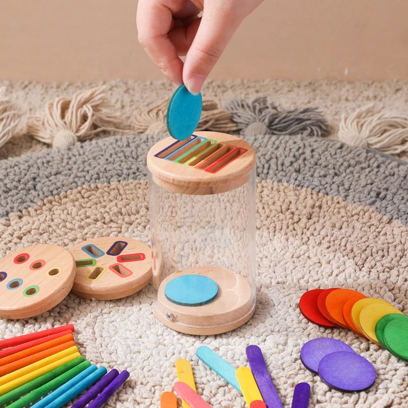 Montessori Color Matching Sensory Toy