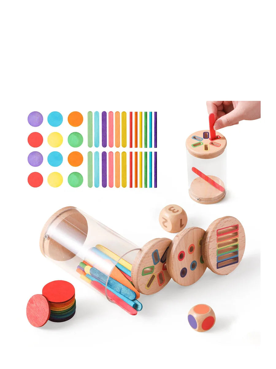 Montessori Color Matching Sensory Toy