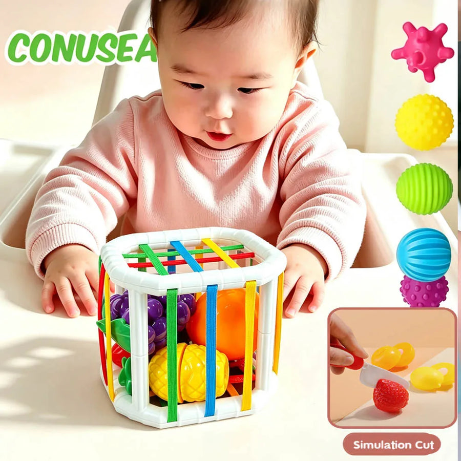Montessori Color Sorting & Sensory Toy
