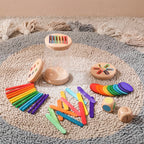 Montessori Color Matching Sensory Toy