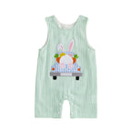 Baby Boy Embroidered Romper