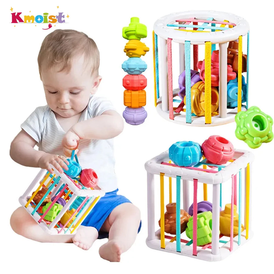 Montessori Shape Sorting Blocks