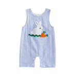 Baby Boy Embroidered Romper