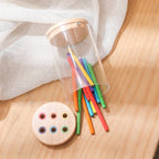 Montessori Color Matching Sensory Toy