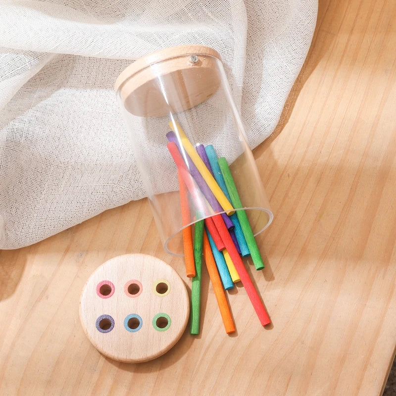 Montessori Color Matching Sensory Toy