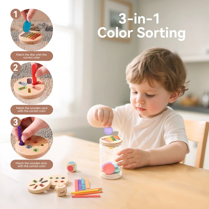 Montessori Color Matching Sensory Toy