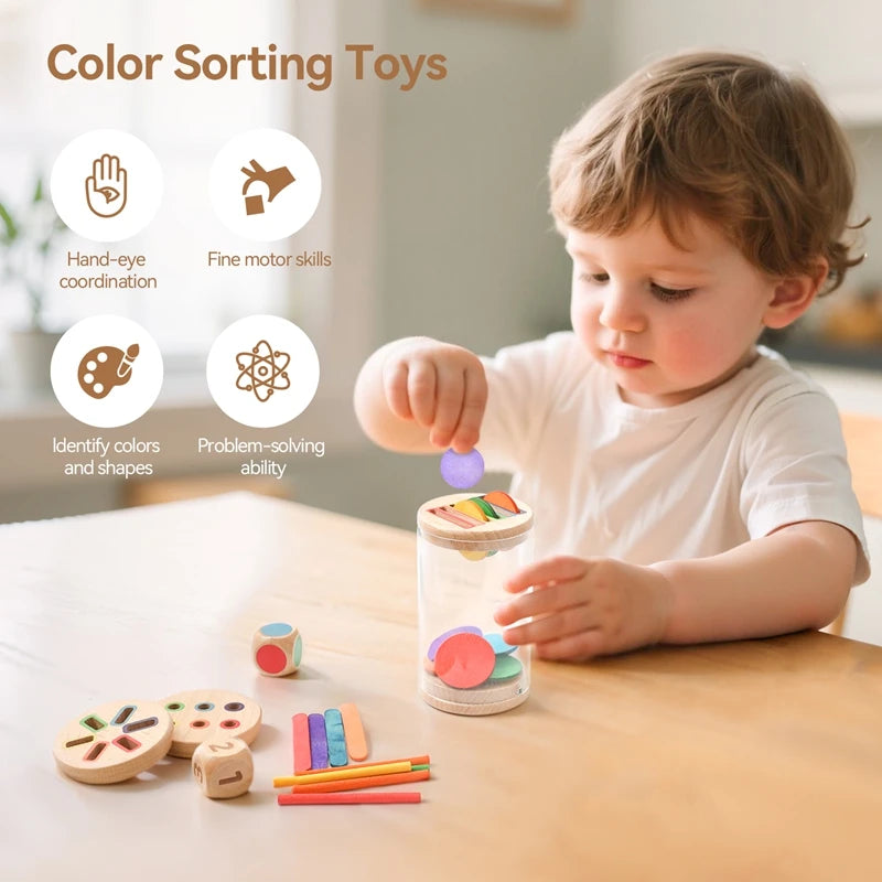Montessori Color Matching Sensory Toy